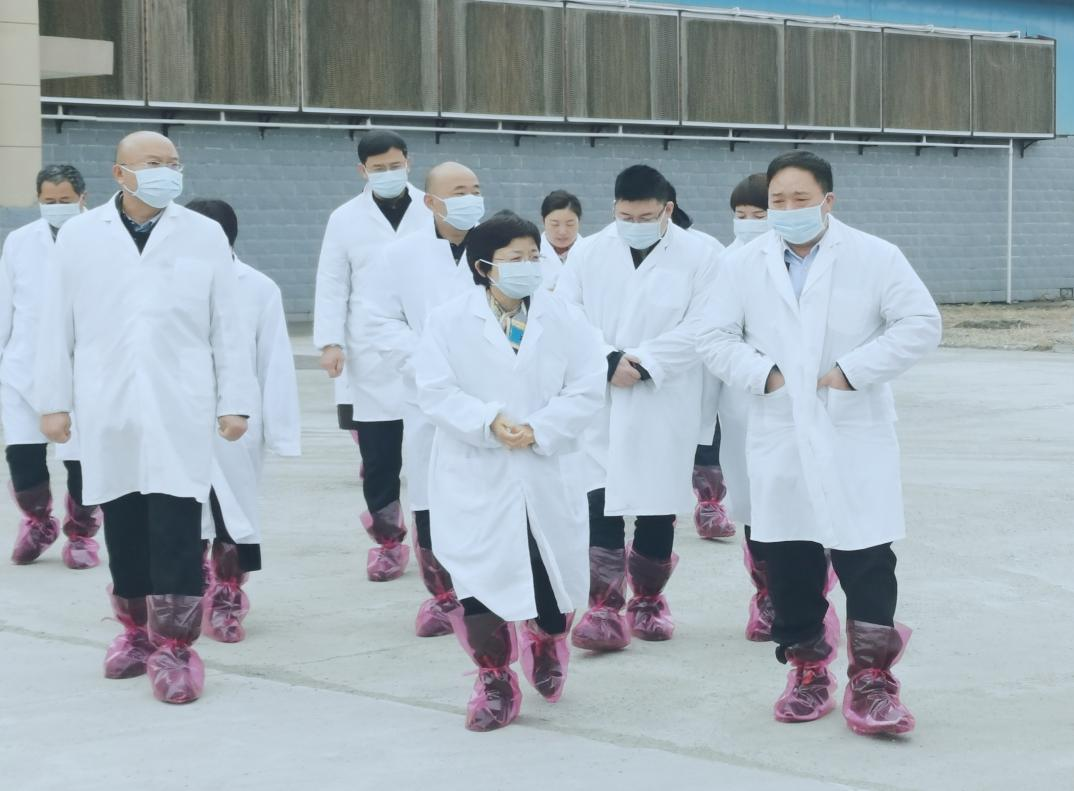 河南省郑州市人民政府副市长李凤芝一行莅临花花牛河南瑞亚参观调研