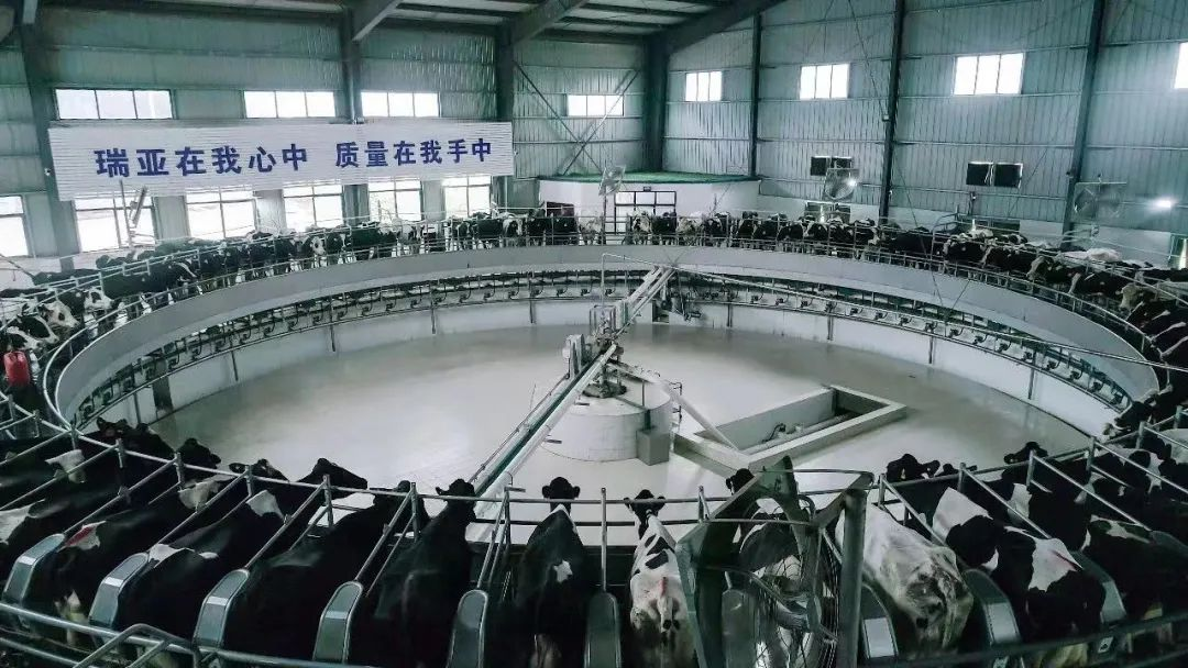 喜讯 | 花花牛一座自有牧场入选河南省“DHI测定优秀牧场”