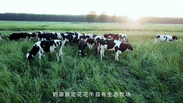 快讯 | 长江商学院智能制造学会走进花花牛乳业集团