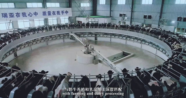 快讯 | 湖北省农业厅副厅长王海涛等领导一行莅临河南花花牛乳业集团参观调研